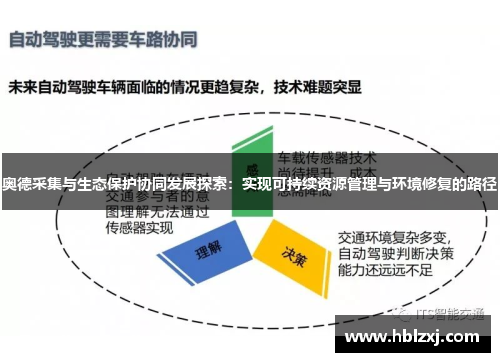 奥德采集与生态保护协同发展探索：实现可持续资源管理与环境修复的路径